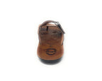 Brown men's sandal with buckle and toe loop on white background